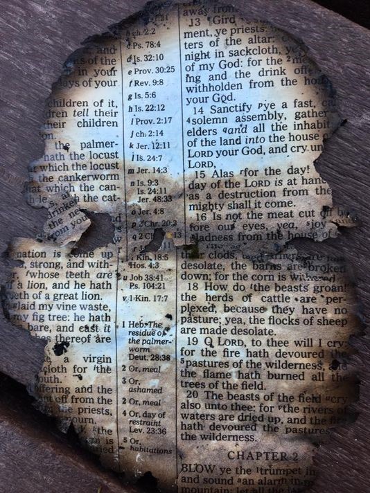 Preserved Bible page showing the fire of the first trumpet.