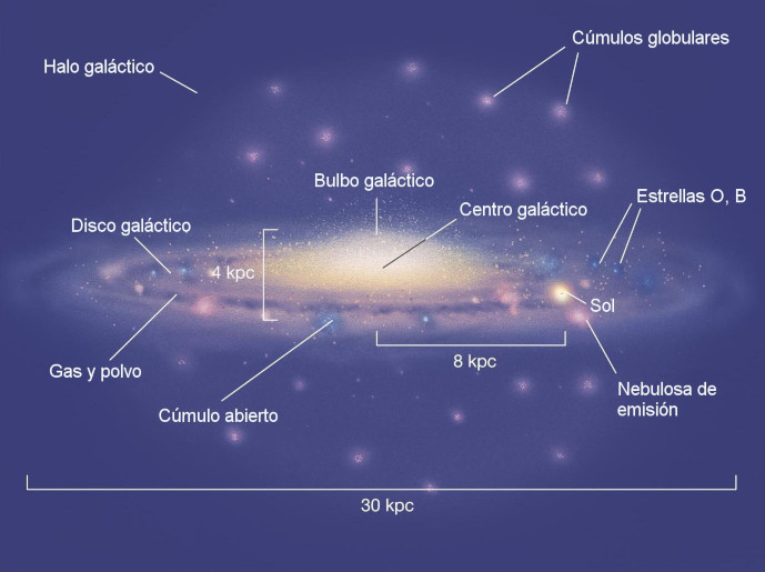 Ilustración científica de una galaxia que muestra sus diferentes componentes estructurales. Se observan el halo galáctico, cúmulos globulares, el bulbo galáctico, el centro galáctico resplandeciente, un disco galáctico lleno de estrellas, nebulosas de emisión, y regiones de formación estelar. Etiquetas con textos y líneas indican la ubicación del Sol y otras características como estrellas tipo O y B, y gas y polvo interestelar.
