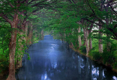 El río de la vida