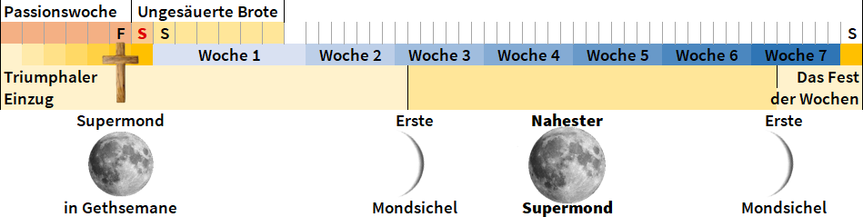 Ein Zeitstrahl, der biblische und astronomische Ereignisse darstellt, einschließlich des triumphalen Einzugs, der Passionswoche, dem Fest der ungesäuerten Brote und dem Fest der Wochen, mit Abbildungen von Mondphasen wie dem Supermond und dem Mondschichel zu signifikanten Zeiten.