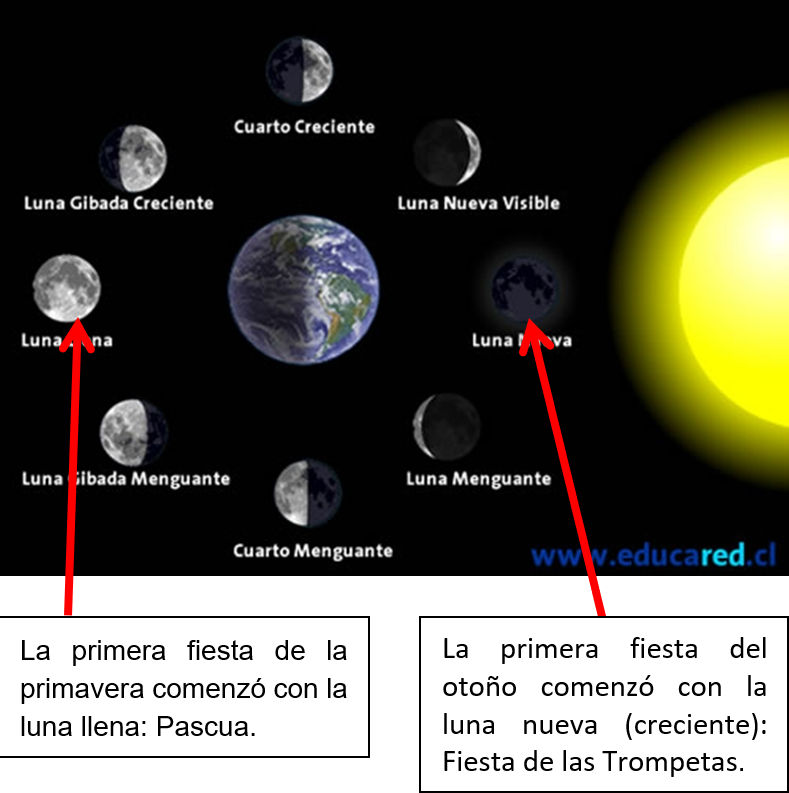 An educational diagram illustrating the lunar phases associated with two biblical feasts. The image shows the Earth and Moon in various positions and phases, from waxing crescent to full moon, culminating in a depiction of the sun on the right side. Arrows indicate the full moon phase linked to the spring feast of Passover and the new moon phase linked to the autumnal Feast of Trumpets. Text in Spanish references these connections.